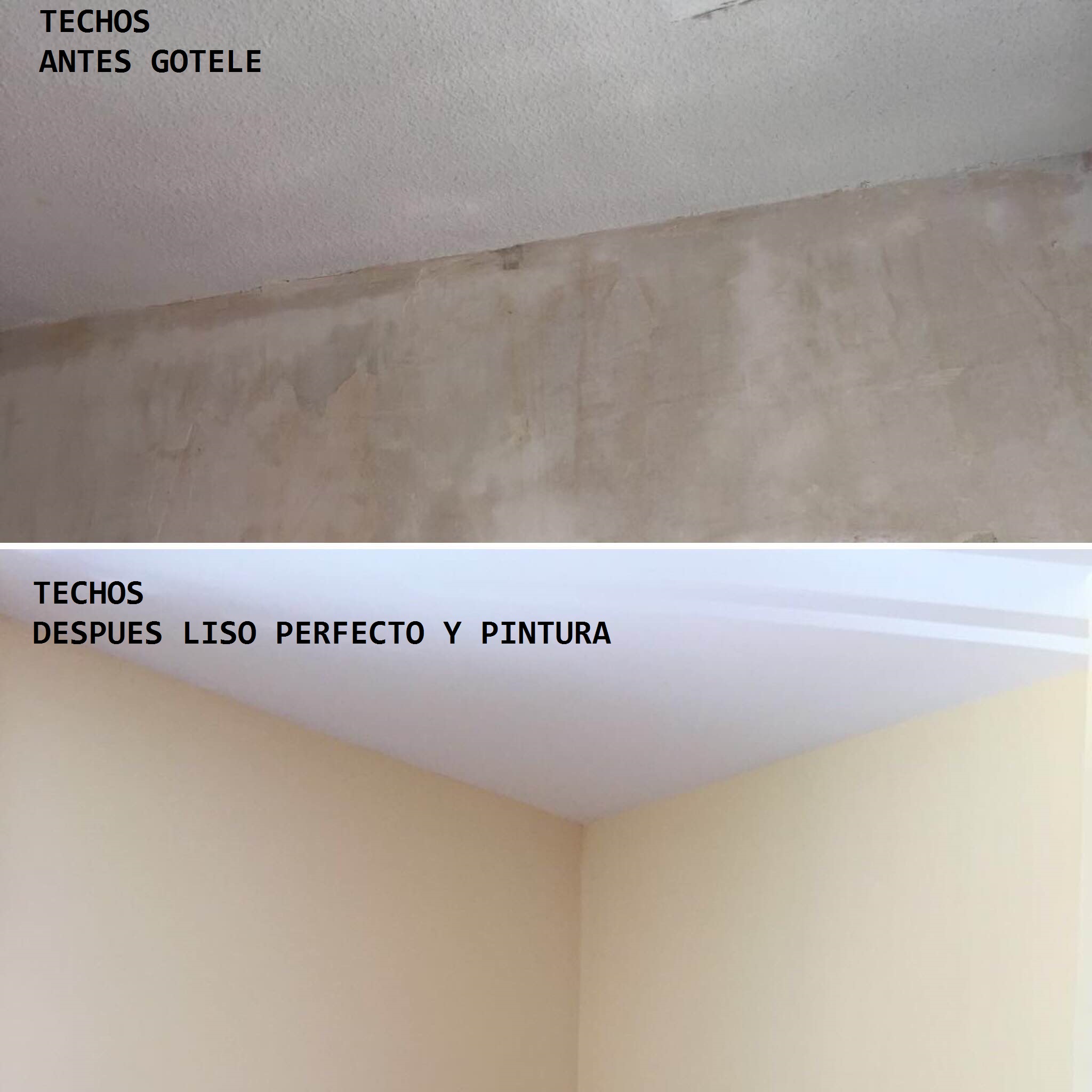 1AA8269B-544B-4263-A93D-02B3E4FF98D3